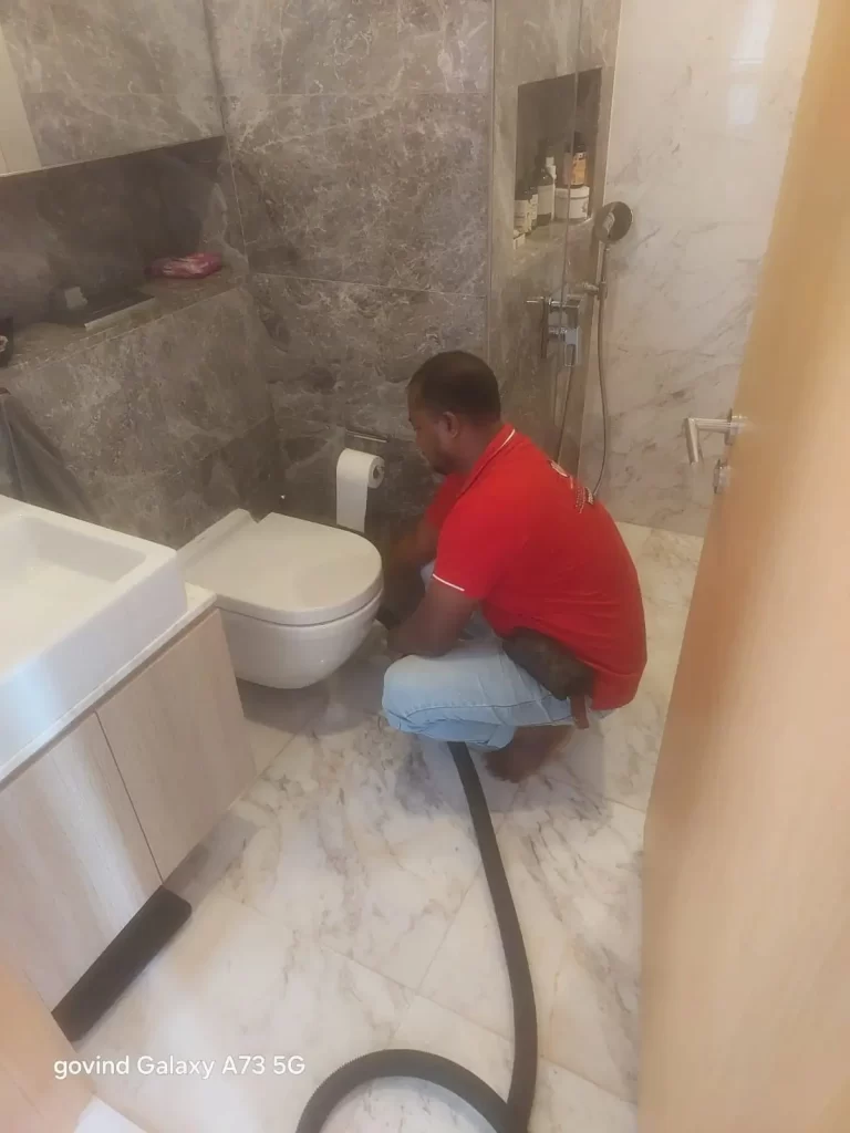 Toilet Repair